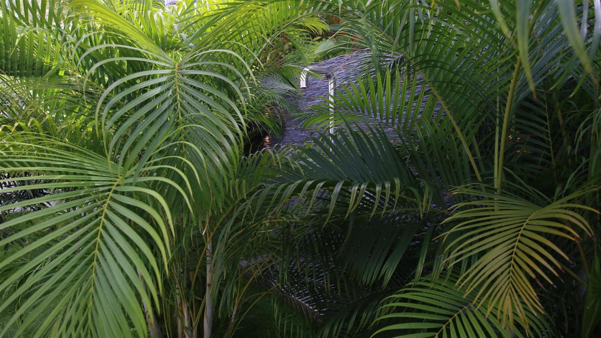 Villa Architecture Jewel Set On A Hillside St. Barthelemy Exterior foto